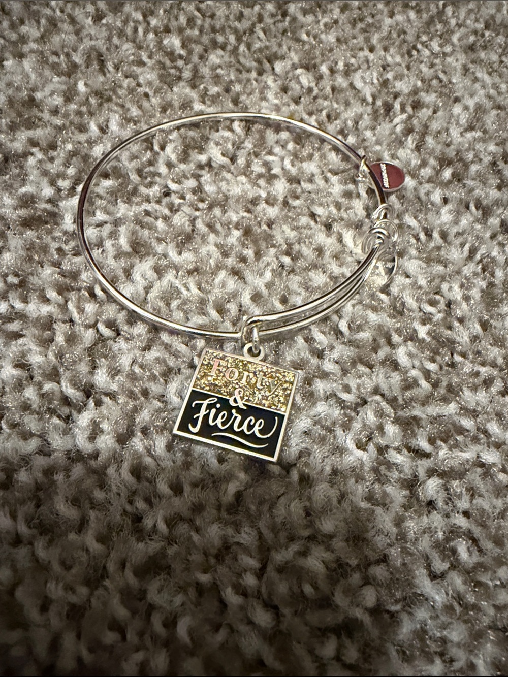 Alex and Ani Silver Charm Bangle with Black and Gold Accents